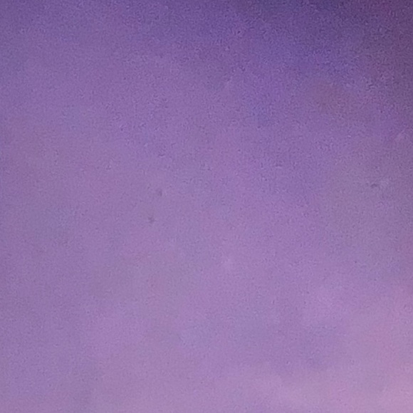 Meet your Posher, Gabriella - Picture 1 of 1